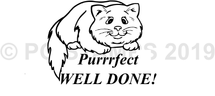 CIRCULAR 18 - Purrfect Well Done stamp