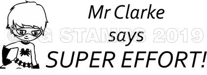 SUPER HERO 3 -Customised motivational teacher stamp