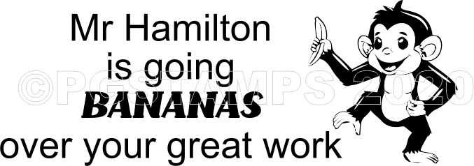 MONKEY 22 Personalised "Going Bananas Over Great Work" Teacher Stamp