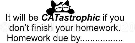 CAT 19 - Homework Due teacher stamp