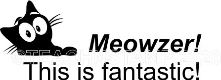 CAT 20 - Meowzer - This is fantastic